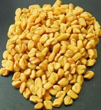 Fenugreek Seeds