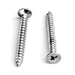 SS Screws