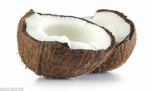 Coconut