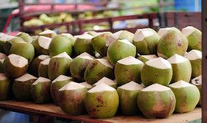 Tender Coconut