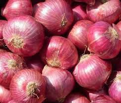 fresh red indian onion