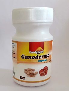 Ganoderma Capsule