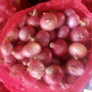 Natural Red Onion