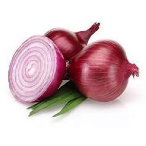 organic red onion