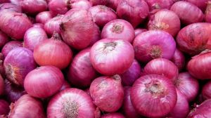 natural onion