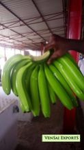 Fresh Green Cavendish Banana