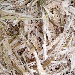 Sugarcane Bagasse For Making Biofuel