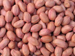 Ground Nut Kernels