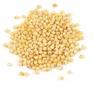 Millet Seeds