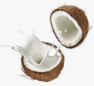 Coconut