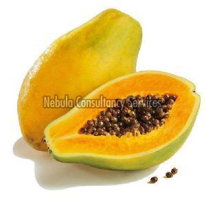 Fresh Sweet Papaya