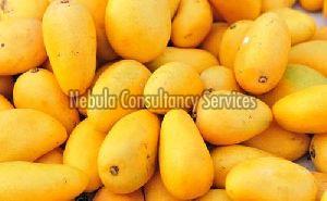 Fresh Yellow Mango