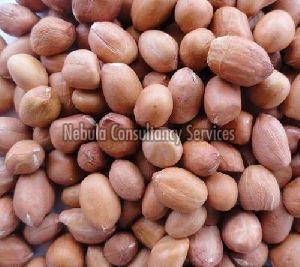 Java Groundnut Kernels