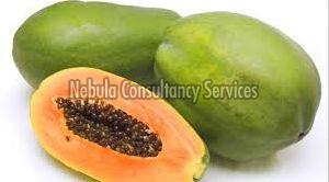 Papaya