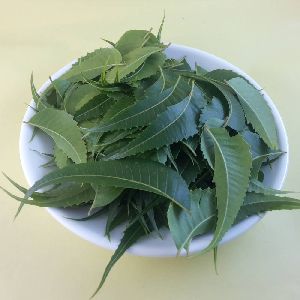 Organic Neem Leaves