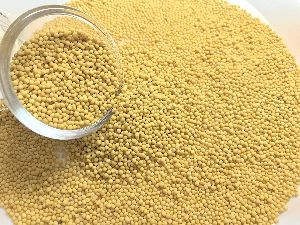 Organic Yellow Mustard Seeds