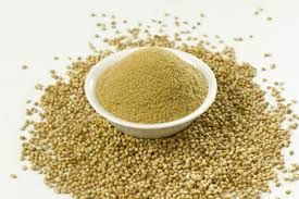 Premium Coriander Powder