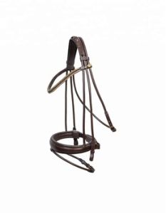 Noseband Bridle