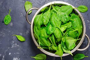 Organic Spinach Leaves