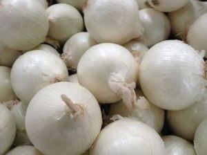 White Onion