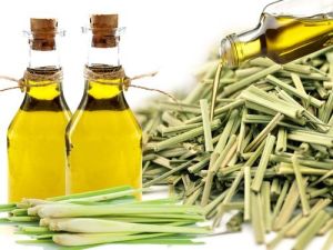 Lemongrass Oil