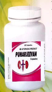 Punarjeevan Kidney Care Capsule