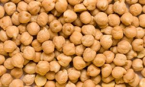 indian white chickpeas