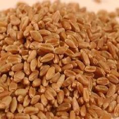 natural wheat seeds