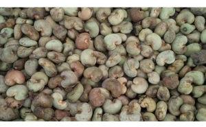 loose raw cashew nuts