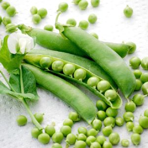 Fresh Green Peas