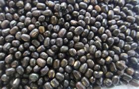 Black Urad Dal