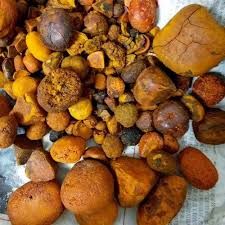 Ox Gallstones