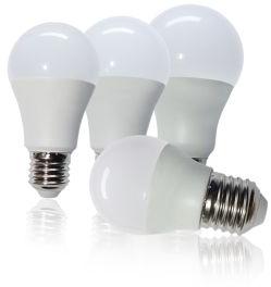 LED Big Bulbs