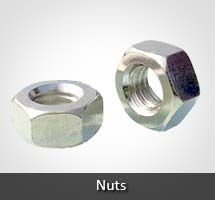 Stainless Steel Nuts