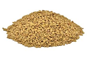 dried fenugreek seeds