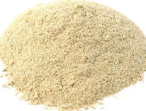 Organic Oyester Mushroom Powder