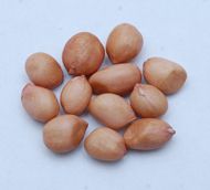 Java Peanut Kernels