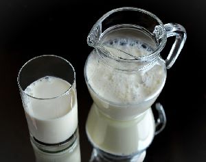 Milk Protein