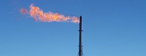 Flare Gas System