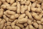 peanuts