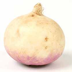 Turnip