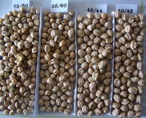 Kabuli Chickpeas