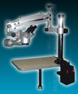 Student Microscope for Future Surgeons