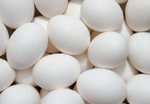 Halal Egg