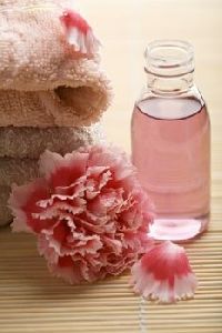 Rose Geranium Oil