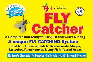 fly catcher