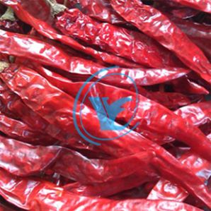 Dried Red Chilli