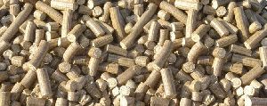 Biomass Briquettes