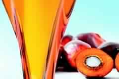 Refined Palm Oil