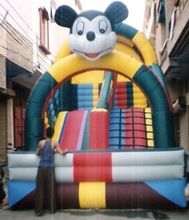 Inflatable Bouncy